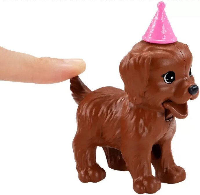 Lėlės Barbie rinkinys „Šunelių vakarėlis“ kaina ir informacija | Žaislai mergaitėms | pigu.lt