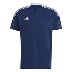 Marškinėliai vyrams Adidas Tiro 21 Polo M GH4462 kaina ir informacija | Sportinė apranga vyrams | pigu.lt