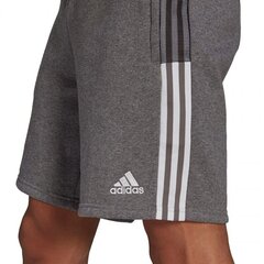 Sportiniai šortai vyrams Adidas Tiro 21 Sweat M GP8808 77815 kaina ir informacija | Sportinė apranga vyrams | pigu.lt