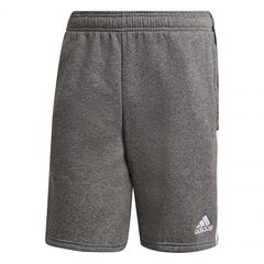 Спортивные шорты мужские Adidas Tiro 21 Sweat M GP8808 77815 цена и информация | Мужская спортивная одежда | pigu.lt