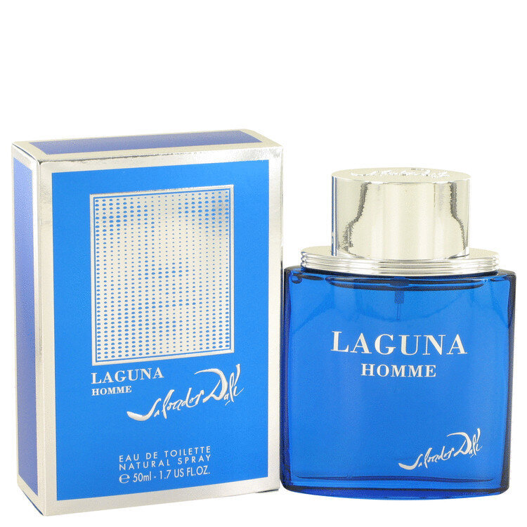 Tualetinis vanduo Salvador Dali Laguna Homme EDT vyrams 50 ml цена и информация | Kvepalai vyrams | pigu.lt