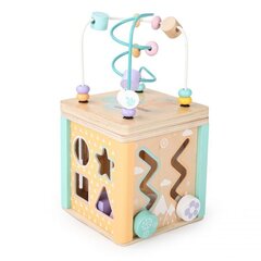 Lavinamasis kubas - rūšiuoklis EcoToys kaina ir informacija | Žaislai kūdikiams | pigu.lt