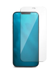 Защита экрана для iPhone 12 Pro Max Soundberry цена и информация | Защитные пленки для телефонов | pigu.lt