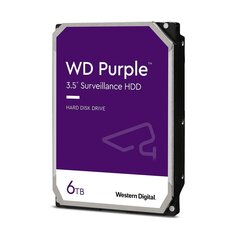 WD WD62PURZ. цена и информация | Внутренние жёсткие диски (HDD, SSD, Hybrid) | pigu.lt