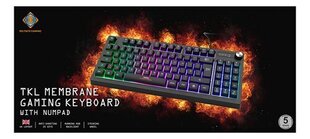 Delcato Gaming DK230 TKL, черный цена и информация | Клавиатуры | pigu.lt