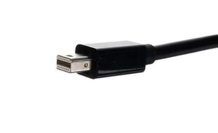 Adapteris - mini DP - HDMI kabelis kaina ir informacija | Adapteriai, USB šakotuvai | pigu.lt