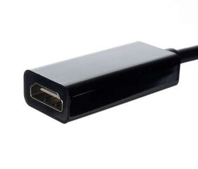 Адаптер - mini DP - кабель HDMI цена и информация | Адаптеры, USB-разветвители | pigu.lt