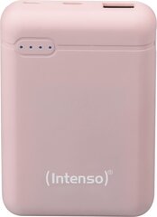 Intenso Powerbank XS5000, 5000 mAh kaina ir informacija | Atsarginiai maitinimo šaltiniai (power bank) | pigu.lt