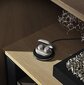 Bang & Olufsen 1648302 kaina ir informacija | Ausinės | pigu.lt