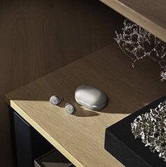 Беспроводные наушники Bang & Olufsen 1648302 цена и информация | Теплая повязка на уши, черная | pigu.lt