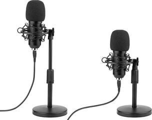 Микрофон для игр, трансляций, подкастов Tracer Studio Pro USB + держатель, поп фильтр цена и информация | Микрофоны | pigu.lt