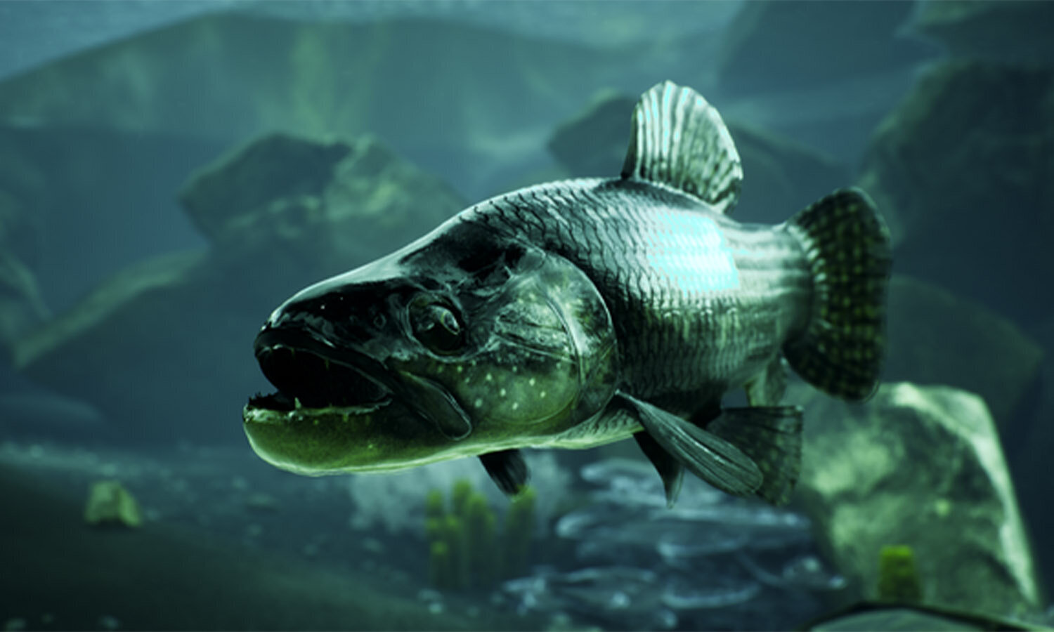 PS4 Catch: Carp & Coarse Collector's Edition kaina ir informacija | Kompiuteriniai žaidimai | pigu.lt