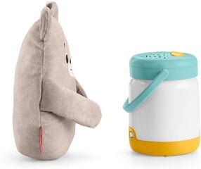 Мишка с фонарем Fisher Price, GRR00 цена и информация | Игрушки для малышей | pigu.lt