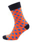 Vyriškos spalvingos kojinės Funny Dots kaina ir informacija | Vyriškos kojinės | pigu.lt