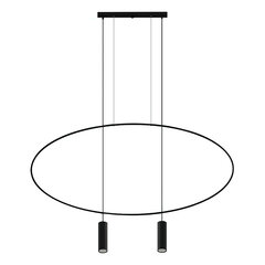 Pendant lamp HOLAR 2 black THORO TH.017CZ цена и информация | Люстры | pigu.lt