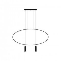 Pendant lamp HOLAR 2 black THORO TH.017CZ цена и информация | Люстры | pigu.lt