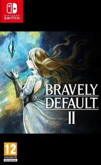 Bravely Default II NSW цена и информация | Компьютерные игры | pigu.lt