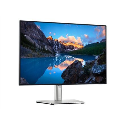 Dell U2421E kaina ir informacija | Monitoriai | pigu.lt