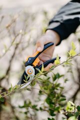 Sekatorius Fiskars Solid M P321 kaina ir informacija | Fiskars Dekoratyvinė kosmetika | pigu.lt