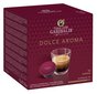 Gran Caffe Garibaldi - Dolce Aroma, 16 vnt. Dolce Gusto aparatams tinkamų kapsulių kaina ir informacija | Kava, kakava | pigu.lt