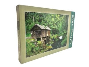 Dėlionė Axel 64x46 cm, 1000 d. kaina ir informacija | Dėlionės (puzzle) | pigu.lt