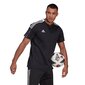 Marškinėliai vyrams Adidas Tiro 21 Polo M GM7367 цена и информация | Sportinė apranga vyrams | pigu.lt