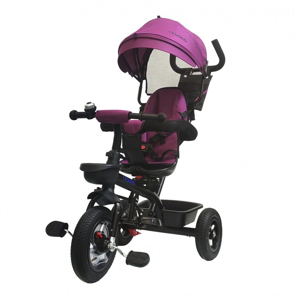 Triratis vežimėlis Tesoro BT-10, juodas/rožinis kaina ir informacija | Vežimėliai | pigu.lt