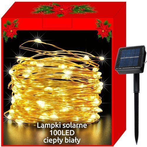Kalėdinės saulės šviesos - 100LED laidai, balti kaina ir informacija | Girliandos | pigu.lt