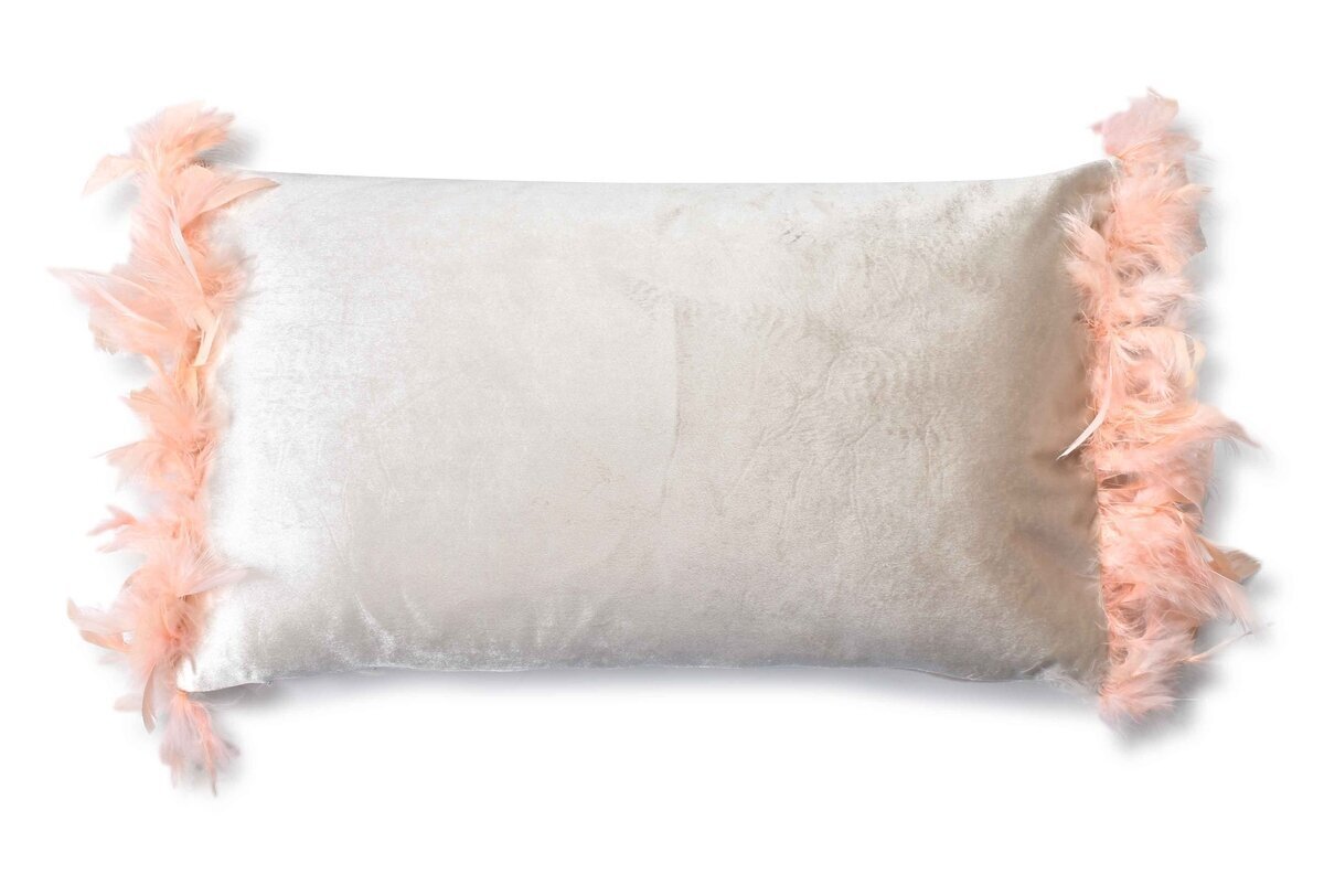 Dekoratyvinė pagalvėlė Loreta Beige Feather, 50x30 cm цена и информация | Dekoratyvinės pagalvėlės ir užvalkalai | pigu.lt