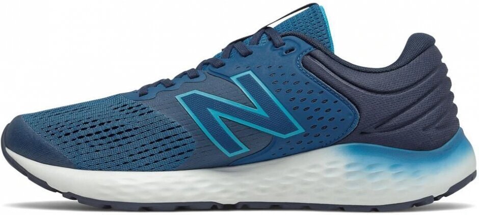 New Balance M520LN7 Blue, mėlyni kaina ir informacija | Kedai vyrams | pigu.lt