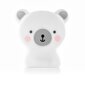 REER vaikiškas naktinis šviestuvas Cute Friends lumilu kaina ir informacija | Vaikiški šviestuvai | pigu.lt