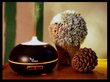 Zen VONIVI Aromatinis Difuzorius – Drėkintuvas, 400ml цена и информация | Oro drėkintuvai | pigu.lt