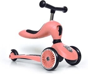 Paspirtukas - triratukas Scoot & Ride 2in1, rožinis kaina ir informacija | Paspirtukai | pigu.lt