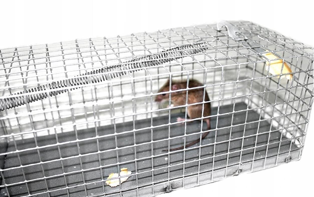 Spąstai pelėms ir žiurkėms 27x11x11 cm kaina ir informacija | Medžioklės reikmenys | pigu.lt