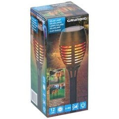 Садовый светильник с солнечной батареей Grundig цена и информация | Уличные светильники | pigu.lt