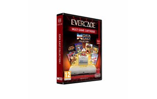 Data East Collection 1 incl. 10 Games, Evercade kaina ir informacija | Kompiuteriniai žaidimai | pigu.lt