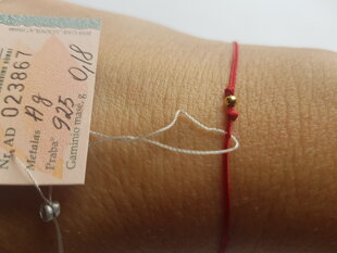 Серебряный браслет - красная нить для женщин - Кошачья галерея цена и информация | Женские браслеты | pigu.lt