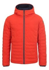 Двусторонняя мужская куртка Icepeak EP ARAGON 200 г 56057-4, тёмно-синяя /красная цена и информация | Мужские куртки | pigu.lt