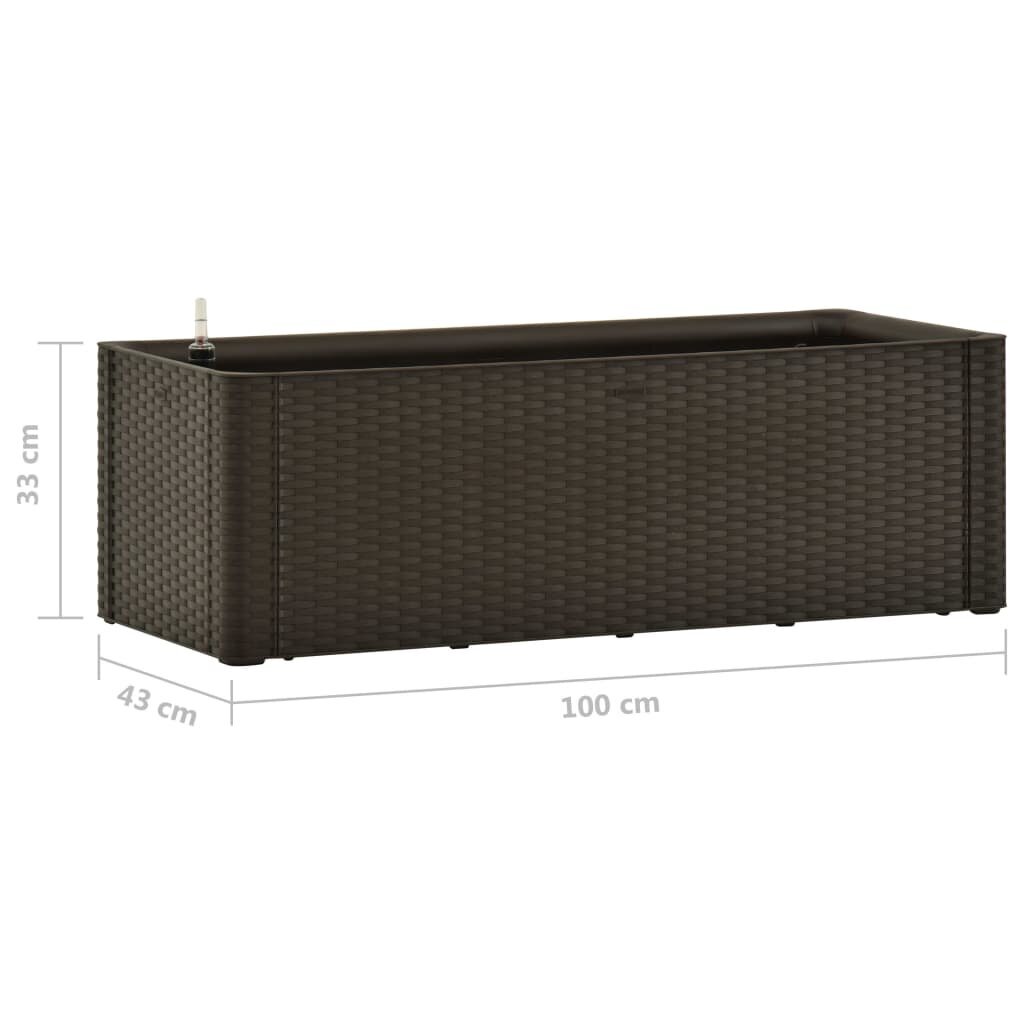 Lovelis su savaiminio laistymo sistema 100x43x33cm kaina ir informacija | Loveliai | pigu.lt