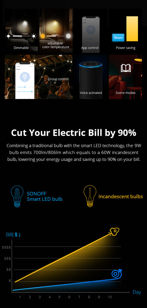 Sonoff B02-F-A60 išmanioji Wi-Fi LED filamentinė lemputė kaina ir informacija | Elektros lemputės | pigu.lt