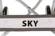 Lėlių vežimėlis DeCuevas XL Sky 90124 kaina ir informacija | Žaislai mergaitėms | pigu.lt