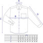Languoti marškiniai ilgomis rankovėmis vyrams Nordic, mėlyni kaina ir informacija | Vyriški marškiniai | pigu.lt