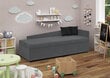 Sofa Bellezza Jung A95 A04, tamsiai pilka kaina ir informacija | Sofos | pigu.lt