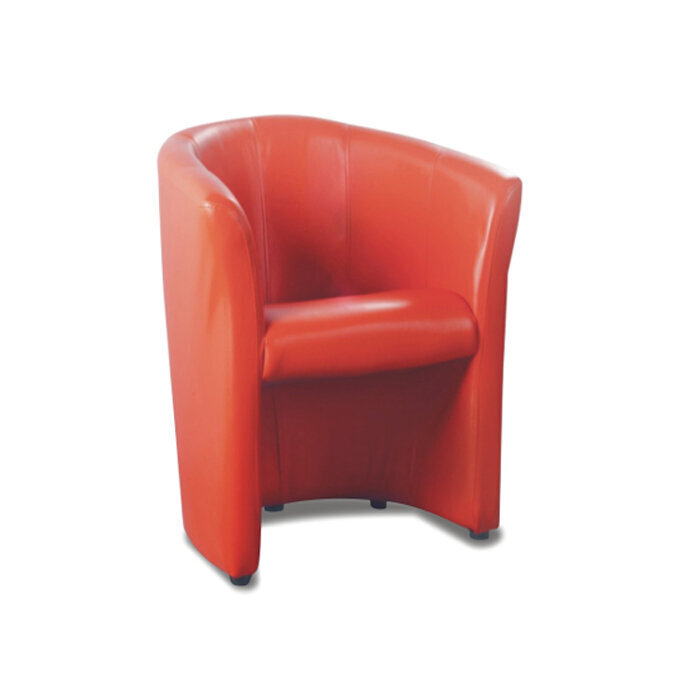 Fotelis TMS Noobis, raudonas цена и информация | Svetainės foteliai | pigu.lt