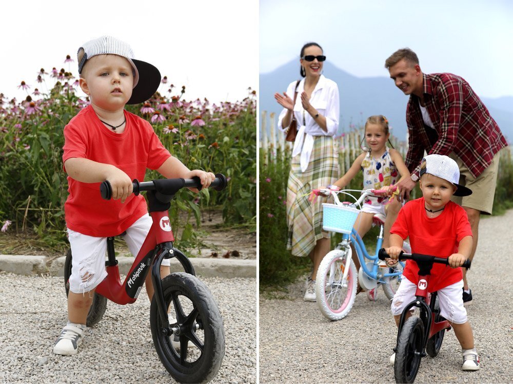 Dviratukas "Royal Baby Chipmunk", raudonas цена и информация | Balansiniai dviratukai | pigu.lt