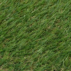 Dirbtinė žolė, 1x8 m 20 mm цена и информация | Ковры | pigu.lt