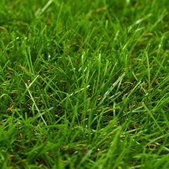 Dirbtinė žolė, 1,33x5 m 40 mm kaina ir informacija | Kilimai | pigu.lt