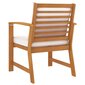 Sodo kėdės su pagalvėmis, 2 vnt., medienos masyvas kaina ir informacija | Lauko kėdės, foteliai, pufai | pigu.lt
