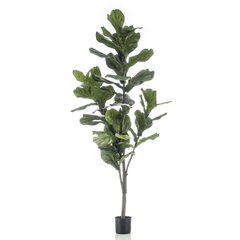 Dirbtinis lyralapis fikusas, 160cm цена и информация | Искусственные цветы | pigu.lt
