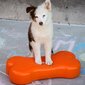 Fitpaws Balansinė platforma K9FITbone, oranžinė, 58x29x10cm kaina ir informacija | Dresūros priemonės šunims | pigu.lt